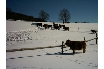 Zasebna nastanitev Heřmanovice 3